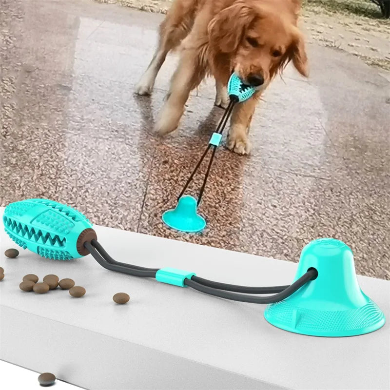Suction Ball Rewarding Dog Toy